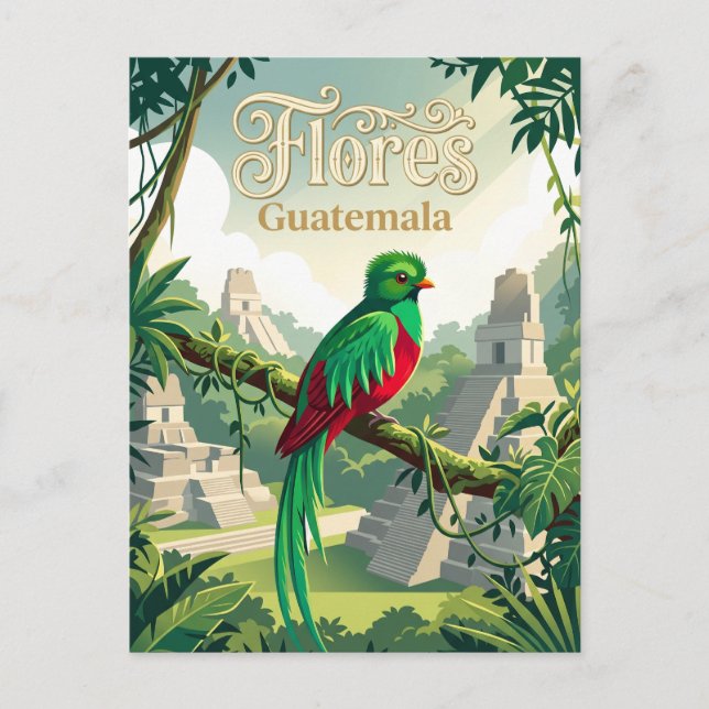 Maya Biosphere Reserve Guatemala Postcard (Front)
