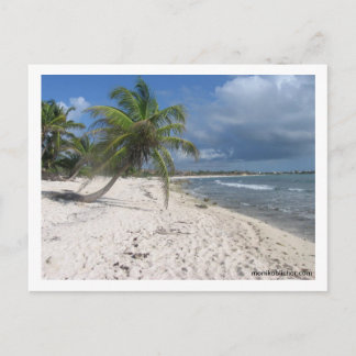 Mayan Riviera Postcard