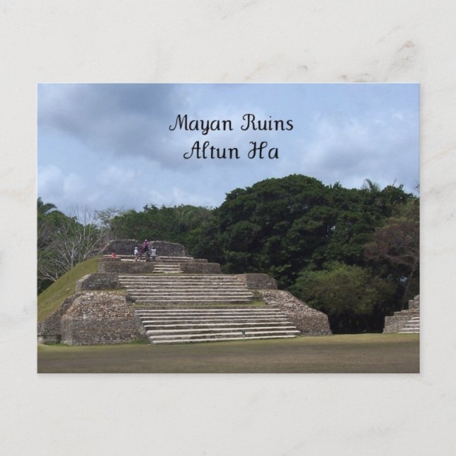 Mayan Ruins, Altun Ha Postcard (Front)