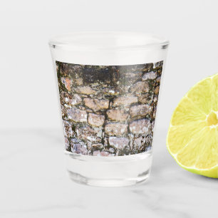 Mayan Ruins Wall Shot Glass