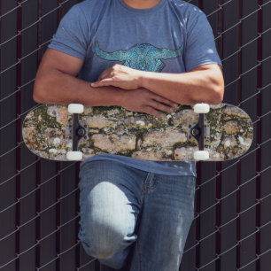 Mayan Ruins Wall Skateboard
