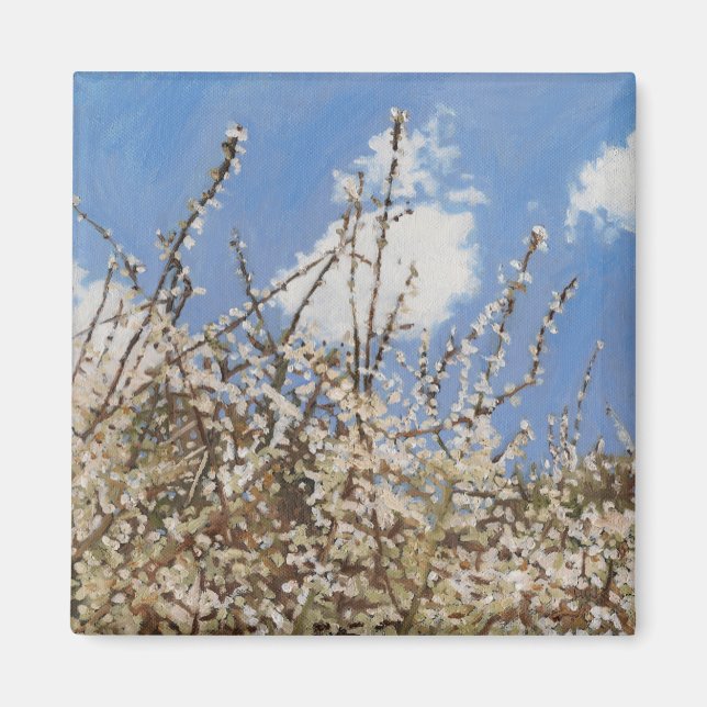 Mayflower 2012 magnet (Front)