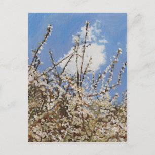 Mayflower 2012 postcard