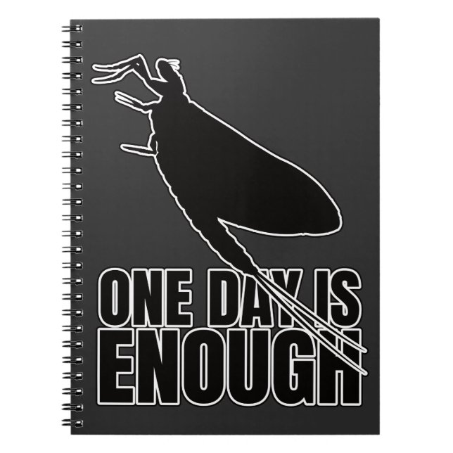 Mayflower One Day Flies – Entomology Geek Notebook (Front)