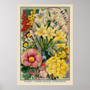 Mayflower Vintage Seed Cover Poster