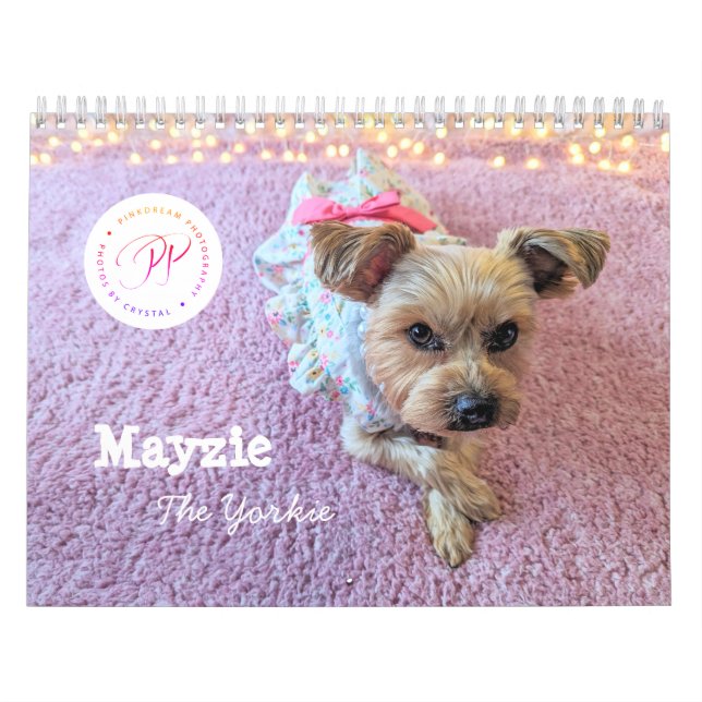 Mayzie Calendar VI (2025 Style) (Cover)