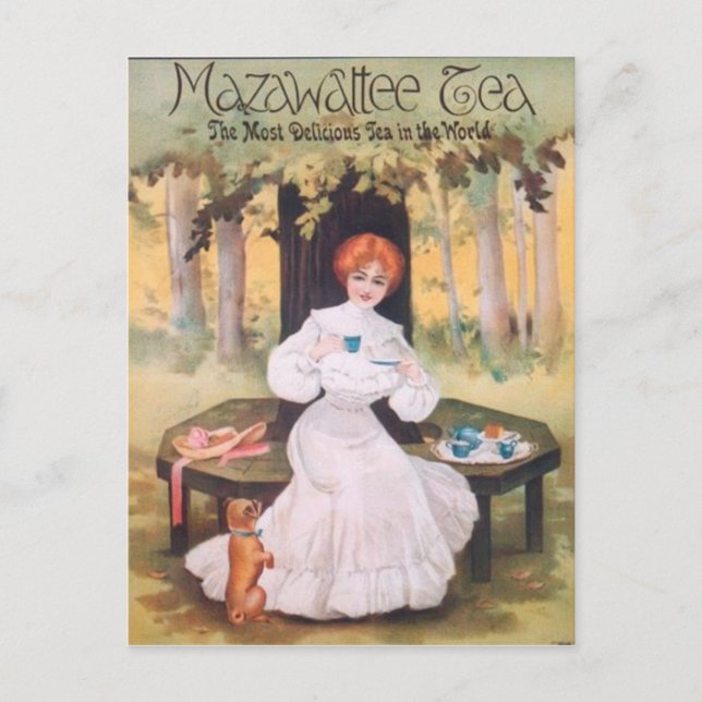 Mazawattee Tea Pug Postcard (Front)