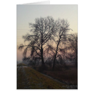 Mazovian Landscapes 1