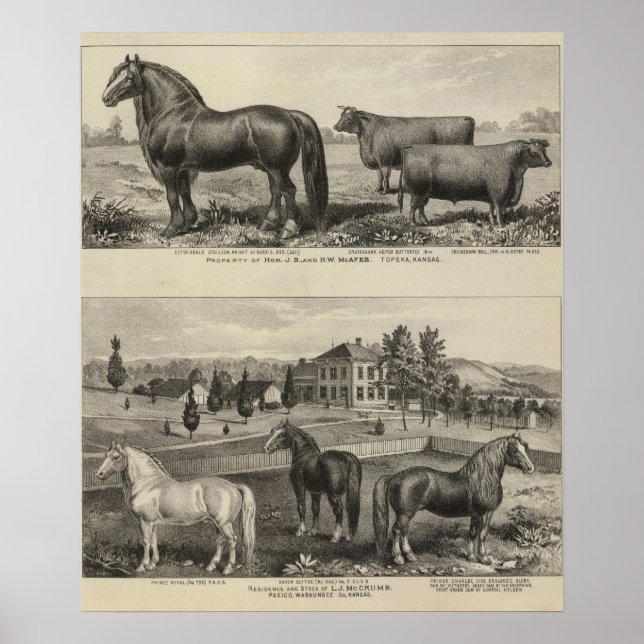 McAfee property, Topeka McCrumb, Kansas Poster (Front)