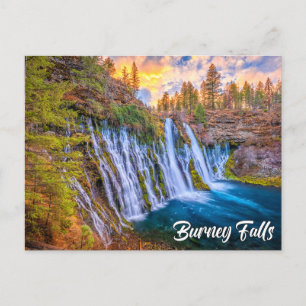 McArthur-Burney Falls Memorial State Park Postcard