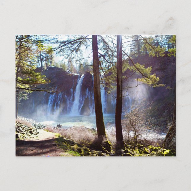 McArthur-Burney Falls Memorial State Park Postcard (Front)