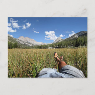 McClure Meadow - Evolution valley - John Muir Trai Postcard