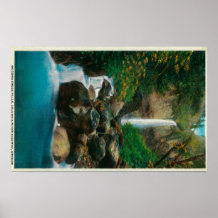 McCord Creed Falls on Columbia River Poster