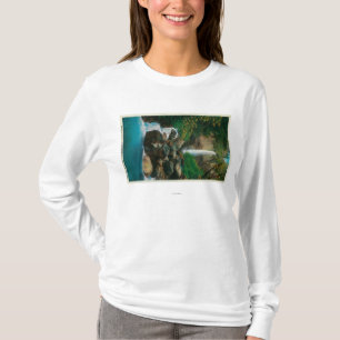 McCord Creed Falls on Columbia River T-Shirt