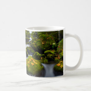McCord Creek Bigleaf Maple   Columbia Gorge, OR Coffee Mug