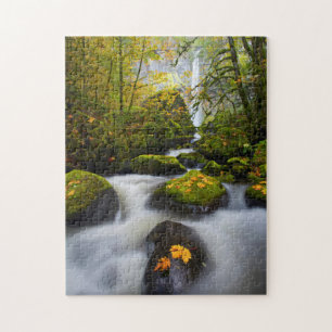 McCord Creek Bigleaf Maple   Columbia Gorge, OR Jigsaw Puzzle