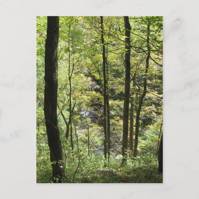 McCormick's Creek Postcard (Front)