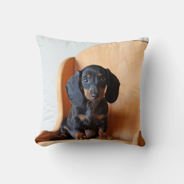 McCoy the Dachshund Square Pillow (Front)