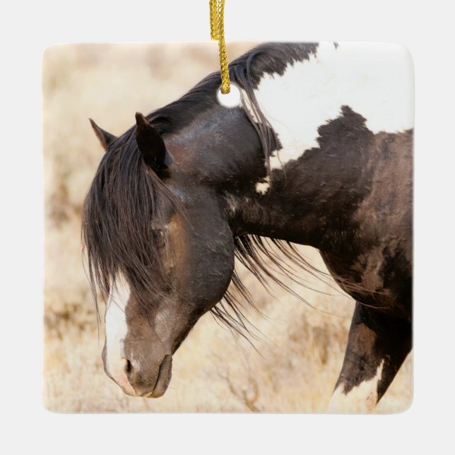 McCullough Peaks Washakie Wild Horses Ceramic Orna Ornament (Front)