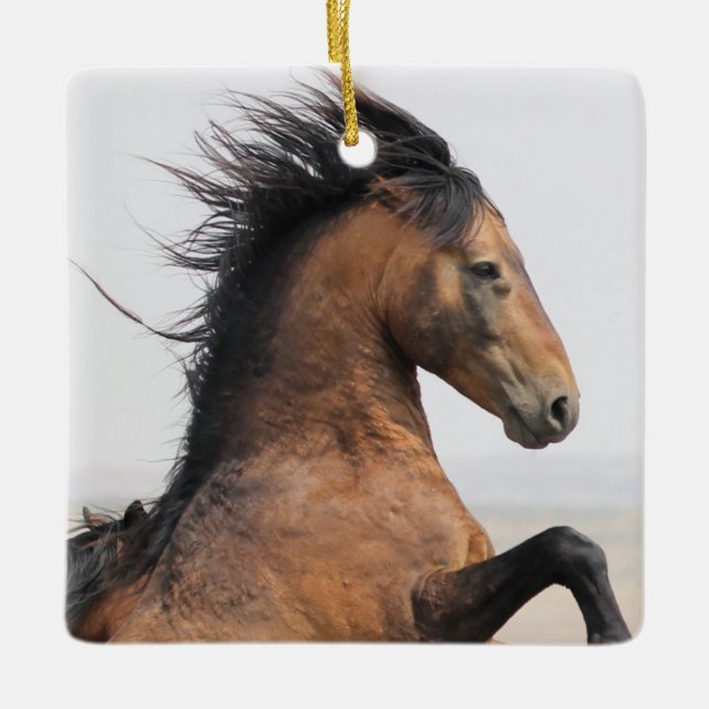 McCullough Peaks Wild Horse Ceramic Ornament (Front)