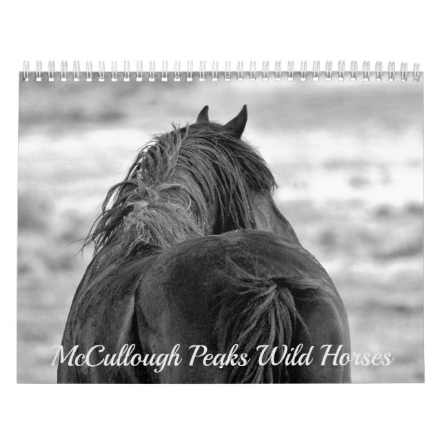 McCullough Peaks Wild Horses Calendar (Cover)