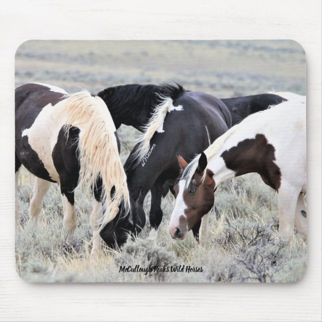 McCullough Peaks Wild Horses Mouse Pad (Front)