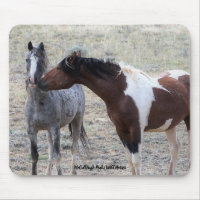 McCullough Peaks Wild Horses