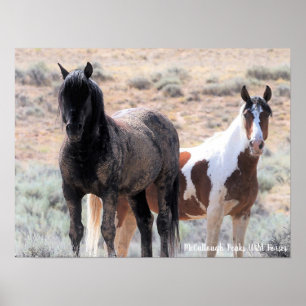 McCullough Peaks Wild Horses Poster