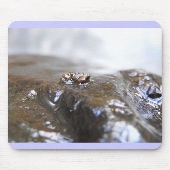McDonald-Dunn. Oak Creek. Uenoidae Mouse Pad (Front)