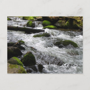 McDowell Creek, Oregon Postcard