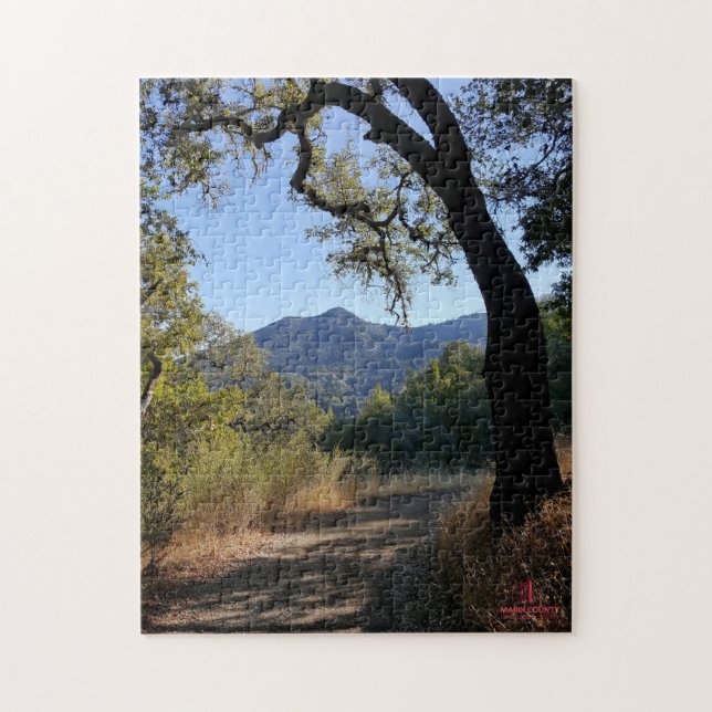 MCGS View of Mt Tam Puzzle (Vertical)