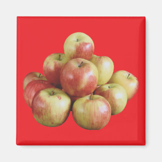 Mcintosh Apples Magnet