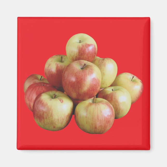 Mcintosh Apples Magnet (Front)