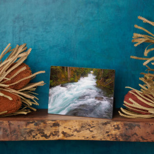 McKenzie River Oregon Plaque