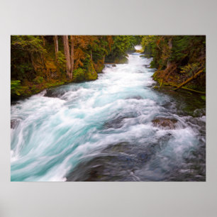 McKenzie River Oregon Poster