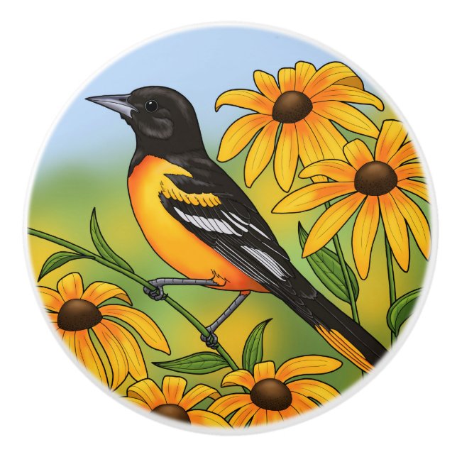 MD State Bird Oriole & Black-eyed Susan Flower Ceramic Knob (Front)