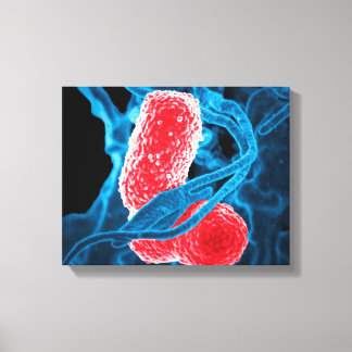 (MDR) Klebsiella pneumoniae abstract art biology Canvas Print
