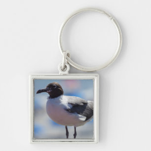 Me A Seagull Key Ring