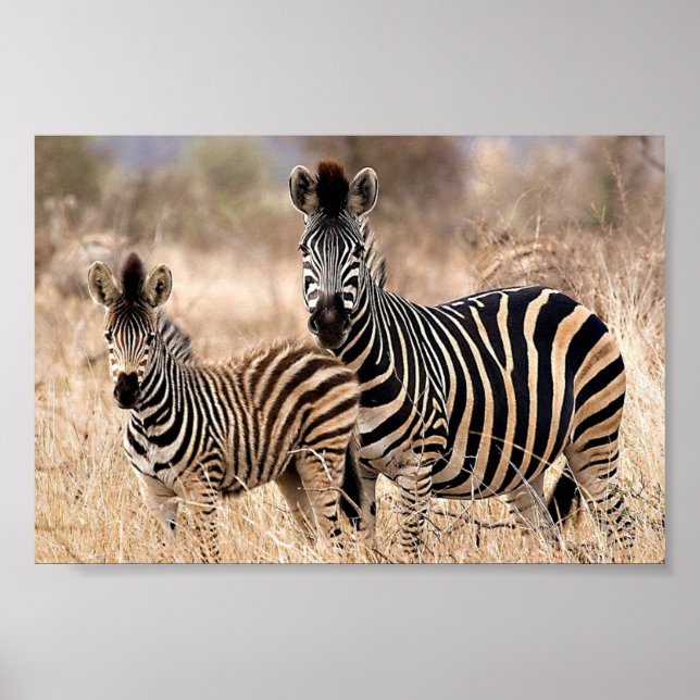 Me and mummy poster (Front)