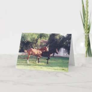 ME & MY SHADOW - plain notecard