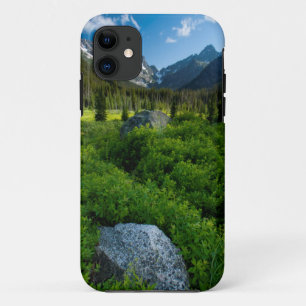 Meadow and Mt. Stuart Case-Mate iPhone Case