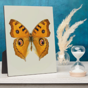 Meadow Argus Butterfly Plaque