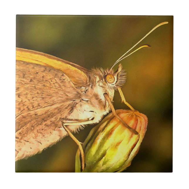 Meadow Brown Beautiful Butterfly Art Tile (Front)