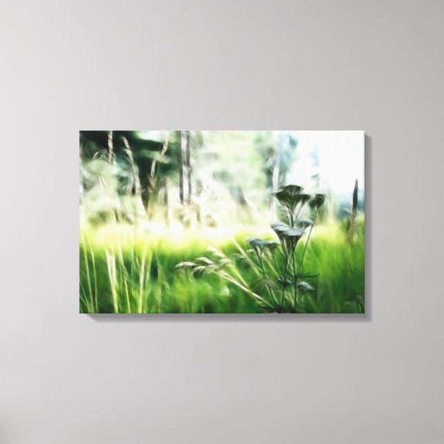 Meadow Canvas Print (Front)