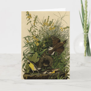 Meadow Lark	from Audubon's Birds of America Card