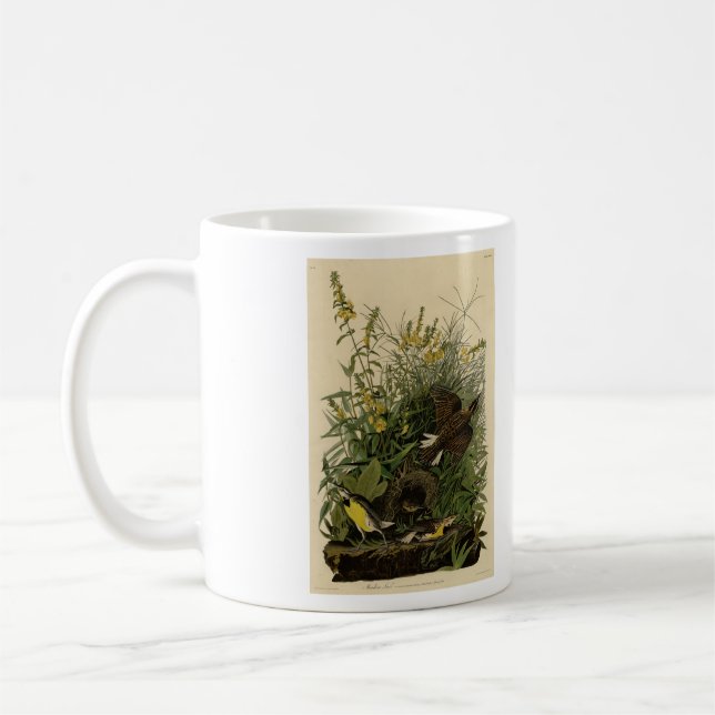 Meadow Lark	from Audubon's Birds of America Coffee Mug (Left)