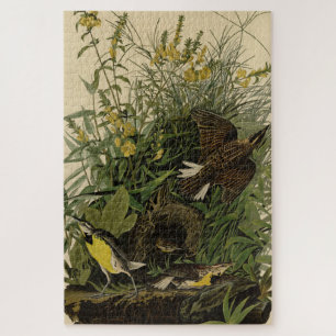 Meadow Lark	from Audubon's Birds of America Jigsaw Puzzle