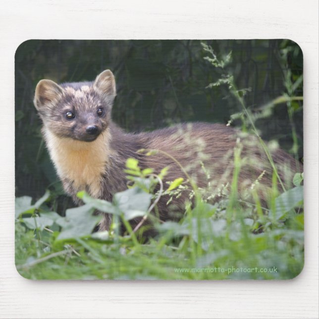 Meadow Marten Mousemat (Front)