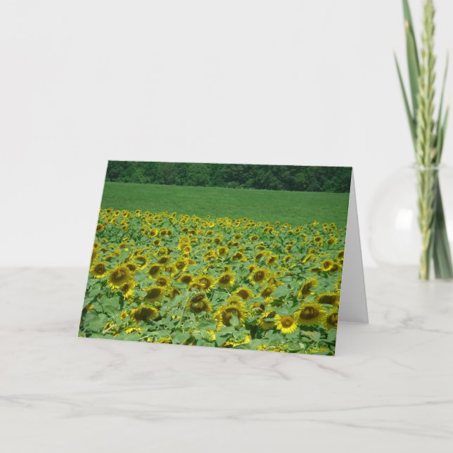 Meadow of Sunflowers Card (Front)