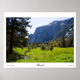 Meadow Prints